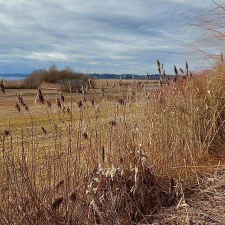 Tiny X Im Marxhof Seebruck Am Chiemsee Seeon-Seebruck Buitenkant foto